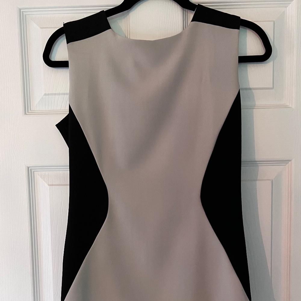 French Closet Two Tone Dress